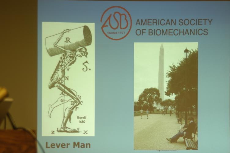 Full-Size (huge) Image