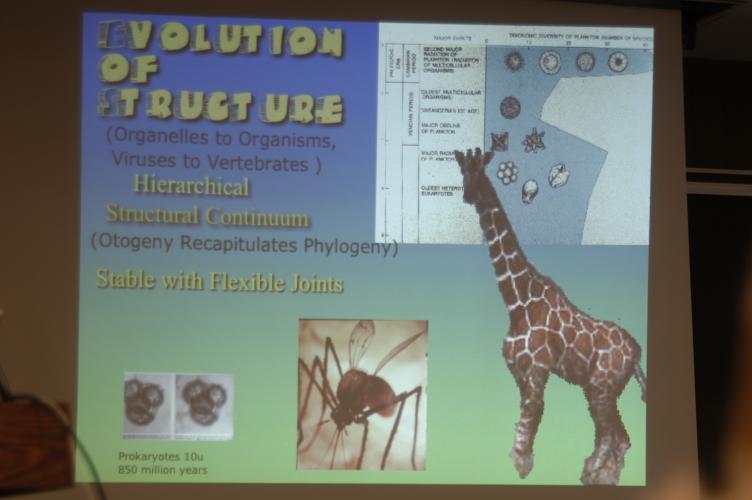 Full-Size (huge) Image