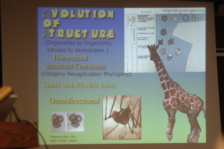 Full-Size (huge) Image