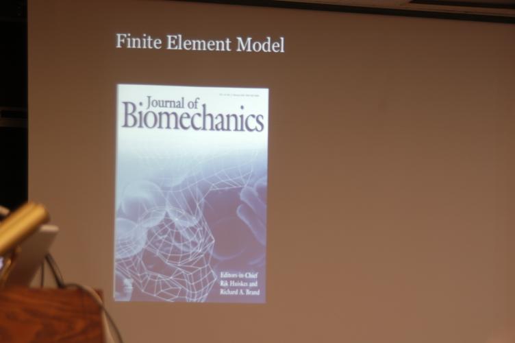 Full-Size (huge) Image