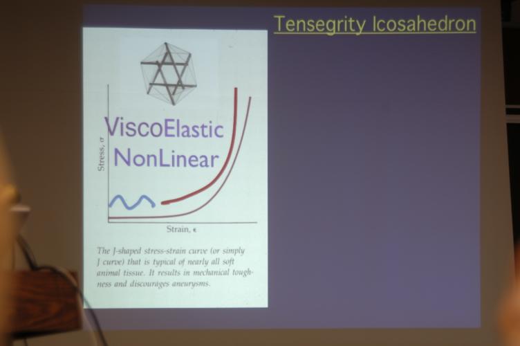 Full-Size (huge) Image