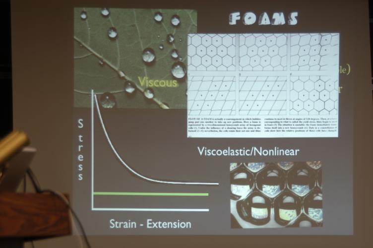 Full-Size (huge) Image