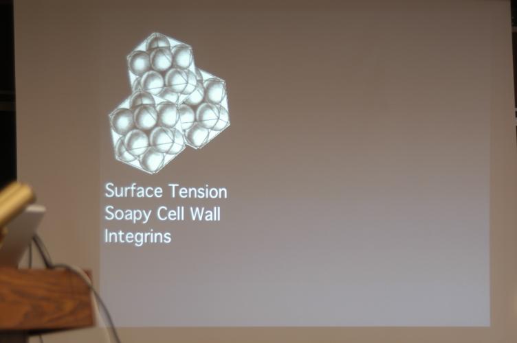 Full-Size (huge) Image