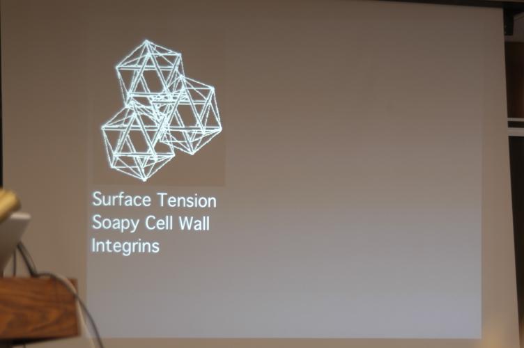 Full-Size (huge) Image