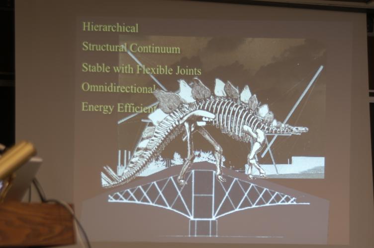 Full-Size (huge) Image