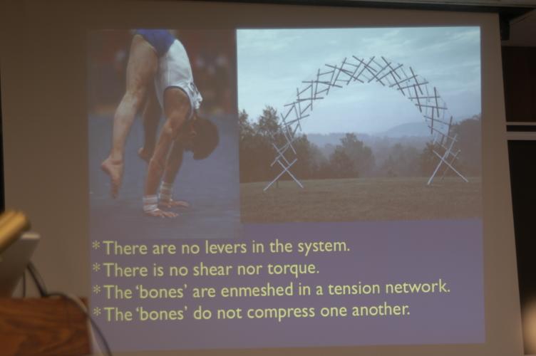 Full-Size (huge) Image