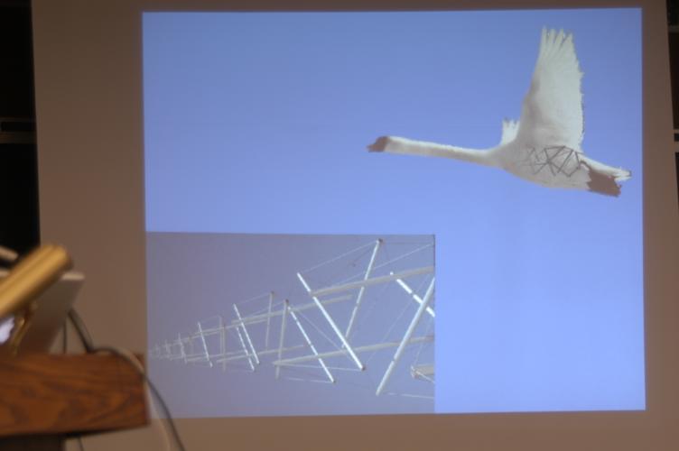 Full-Size (huge) Image