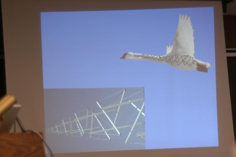 Full-Size (huge) Image