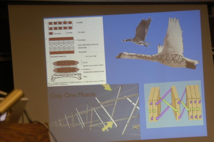 Full-Size (huge) Image