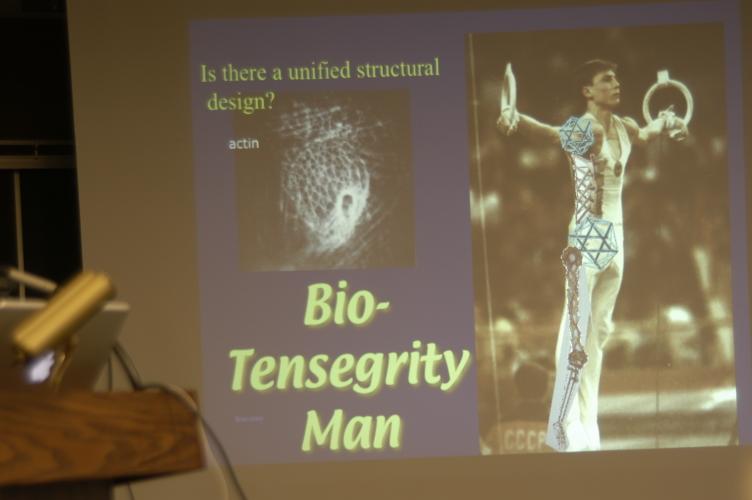 Full-Size (huge) Image