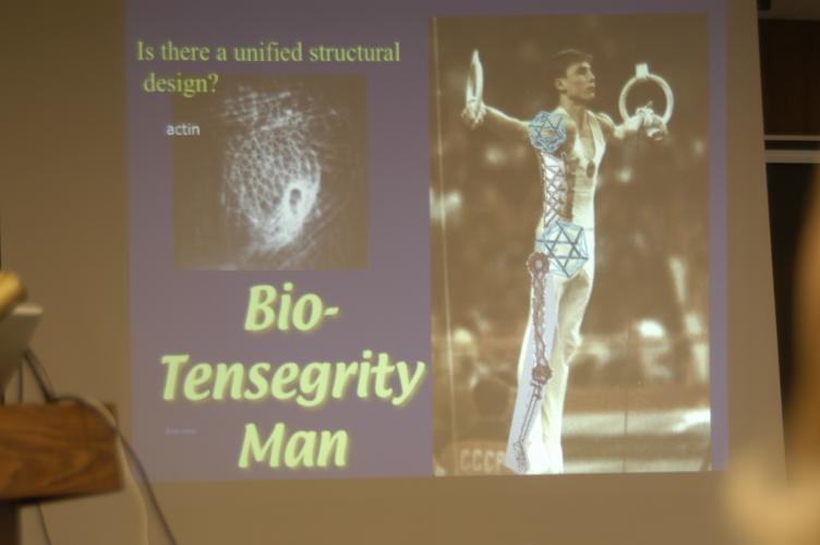 Full-Size (huge) Image